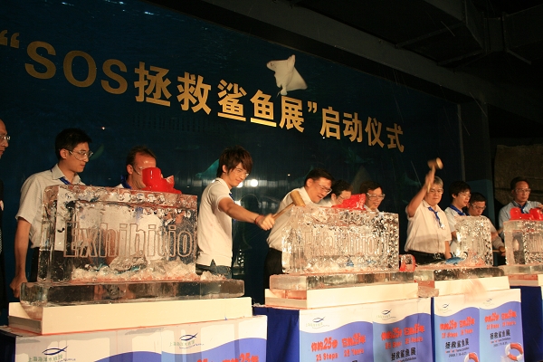 2009