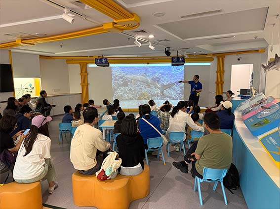 DIDI Classroom | Stories of Shark Moms