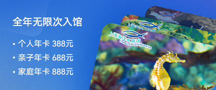 文字.jpg