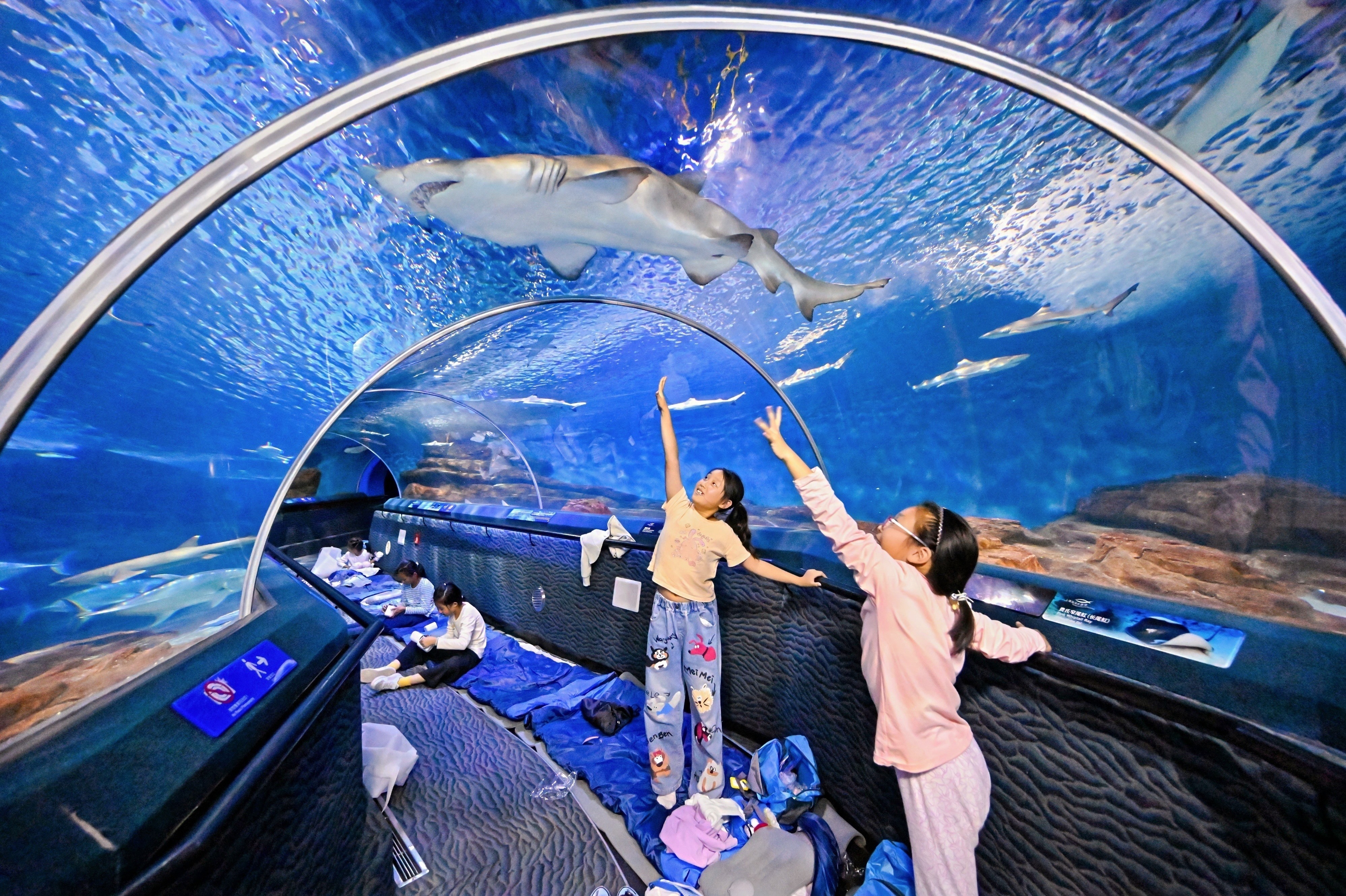 Sleep with Sharks