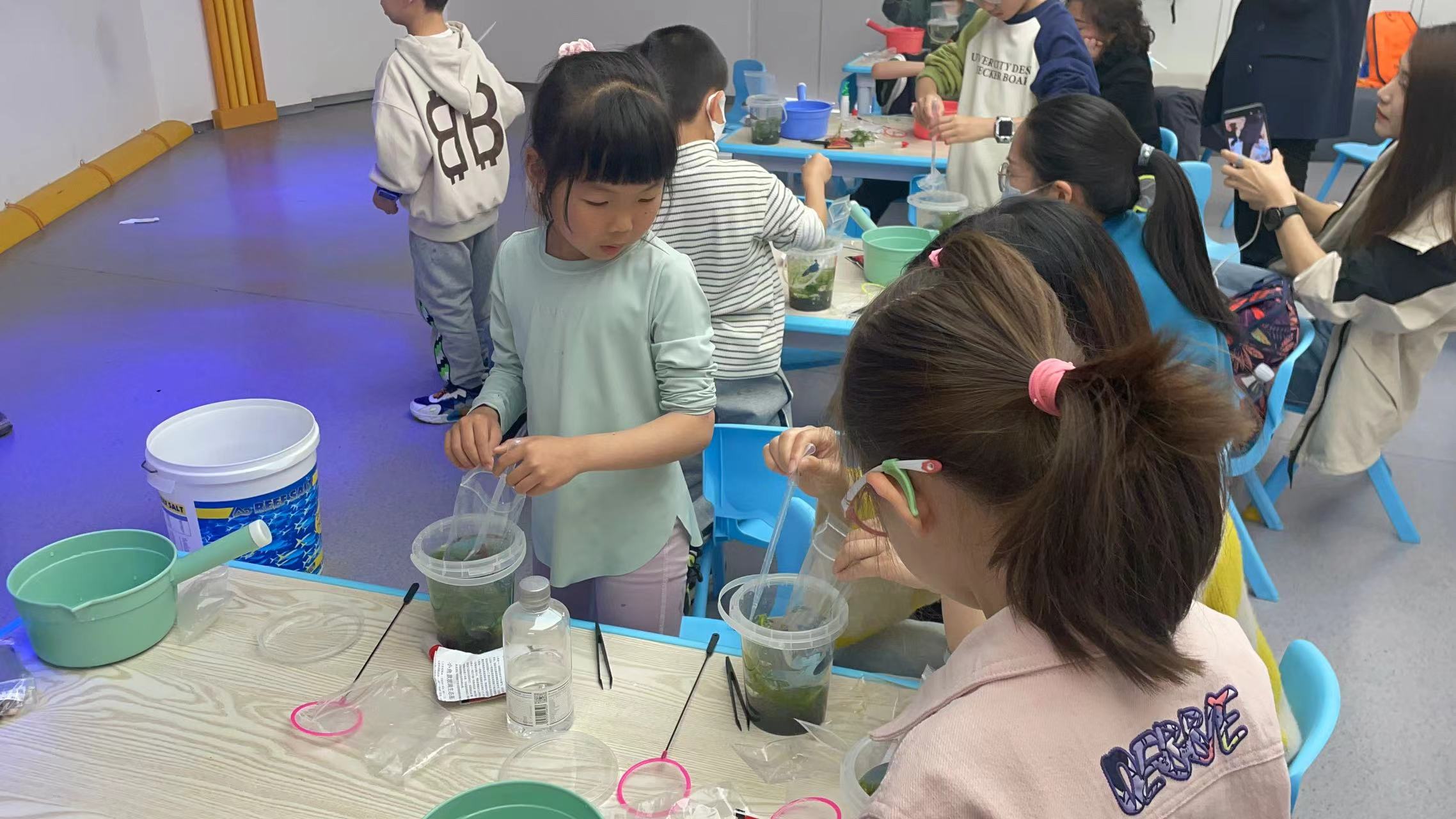 小小水族师体验活动