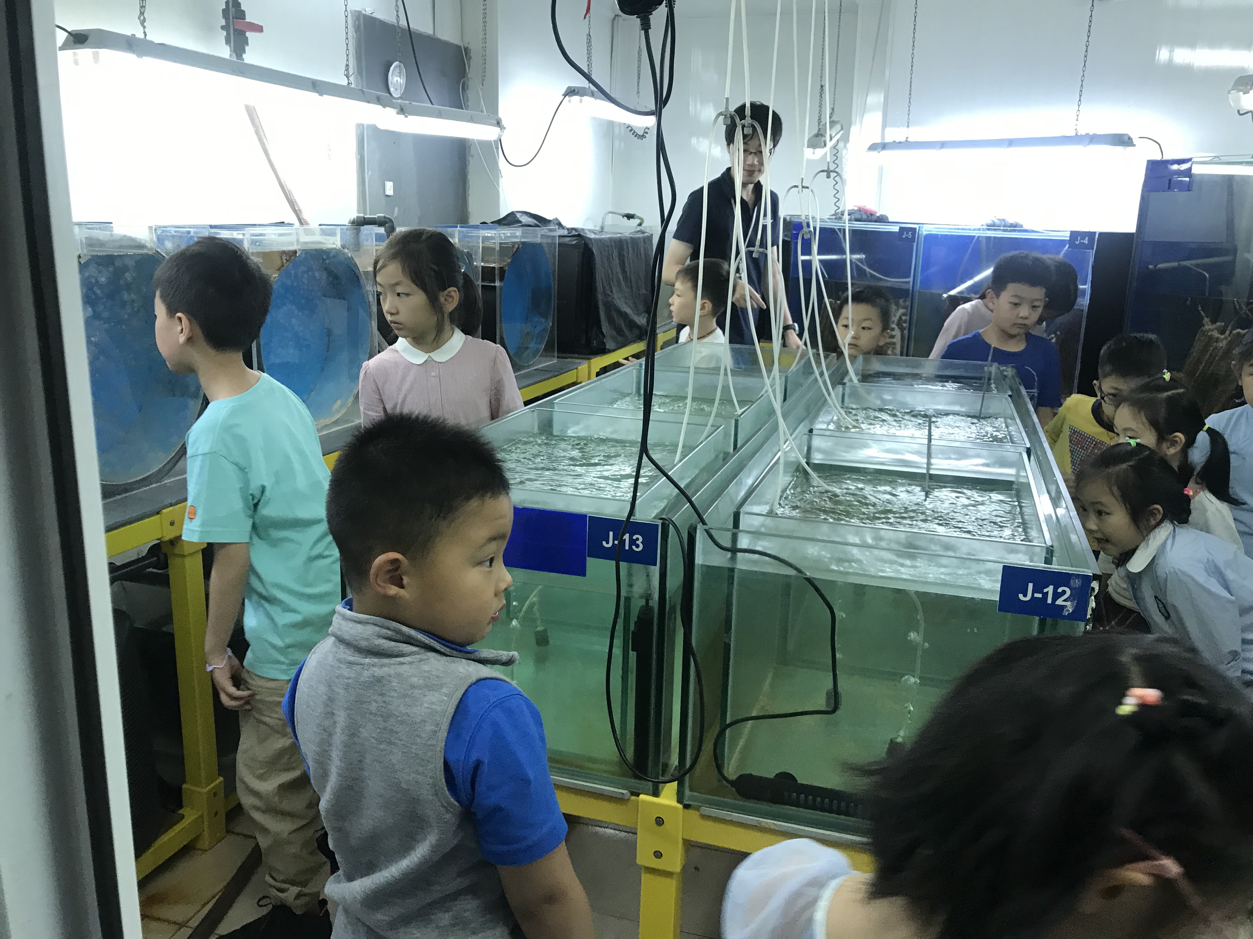 小小水族师.JPG 小小水族师.JPG
