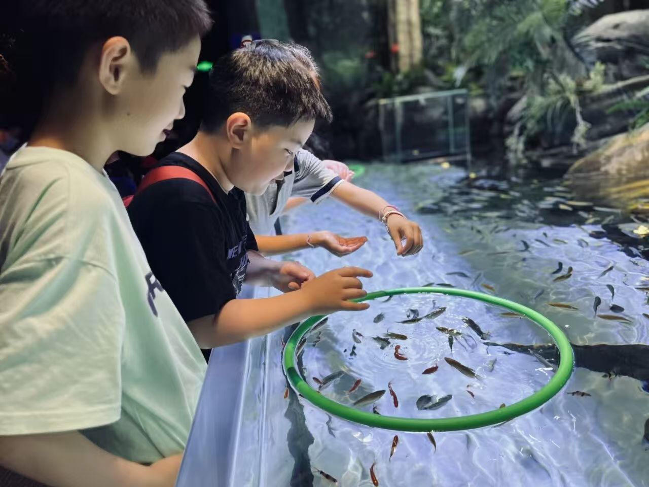 微信图片_20260615114727_1459_25.jpg 微信图片_20260615114727_1459_25.jpg