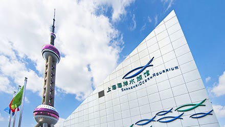 2025 Shanghai Ocean Aquarium Shanghai Science Festival Themed Activities